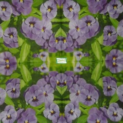 1serviette papier Pensées-10