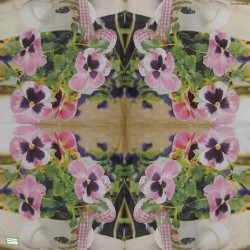 1serviette papier Pensées-35