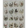 1papier de riz Animaux-R2575