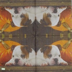 1serviette papier Chien-26