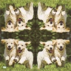 1serviette papier Chien-21