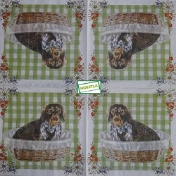 1serviette papier Chien-60