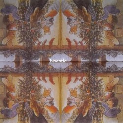 1 serviette papier Foxwood-15