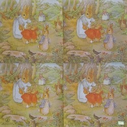 1 serviette papier Foxwood-37