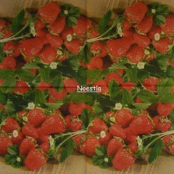 1 serviette Les fraises -15