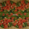 1 serviette Les fraises -15