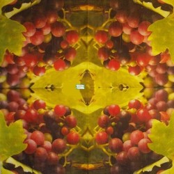 1 serviette Le raisin -51