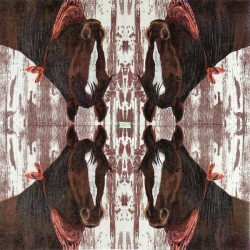 1serviette papier Chevaux- 2
