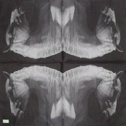 1serviette papier Chevaux-12