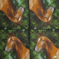 1serviette papier Chevaux-19