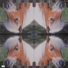 1serviette papier Poney-43