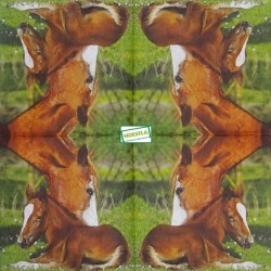 1serviette papier Chevaux-36