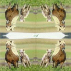 1serviette papier Chevaux-42