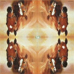 1serviette papier Chevaux-45