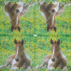 1serviette papier Cheval-46