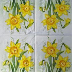 1 serviette Jonquilles-22