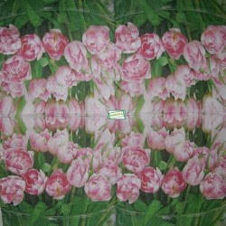 1 serviette papier Tulipes -27