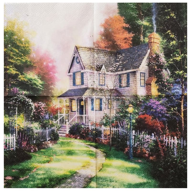 1 serviette papier Nature -70