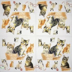 1serviette papier Châtons-6