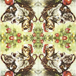 1serviette papier Châtons-11