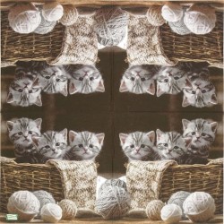 1serviette papier Châtons-13