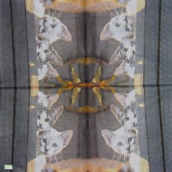 1serviette papier Châtons-15