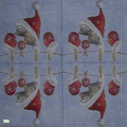 1serviette papier Châtons-2