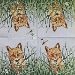 1serviette papier Châton-21