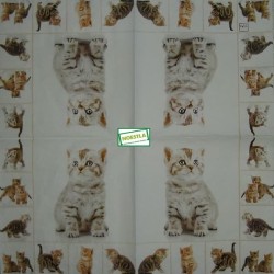 1 serviette Les châtons - 25