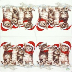 1serviette papier Châtons-26