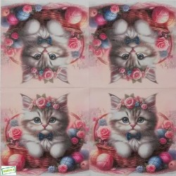 1serviette papier Châton-7
