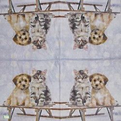 1 serviette Chat Chien -31