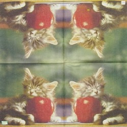 1serviette papier Châton-34