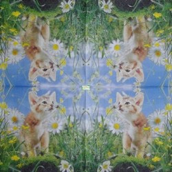 1serviette papier Chat-38