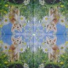 1serviette papier Chat-38