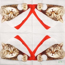 1serviette papier Chat-44