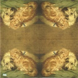 1serviette papier Chat-46