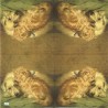1serviette papier Chat-46