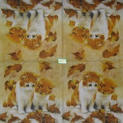1serviette papier Châtons-47