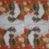 1serviette papier Châtons-48