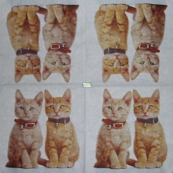 1serviette papier Chats-53