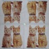 1serviette papier Chats-53