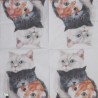 1serviette papier Chats-42