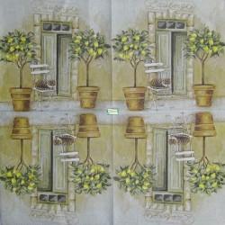 1serviette papier Châton-111