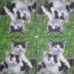 1serviette papier Châtons-113