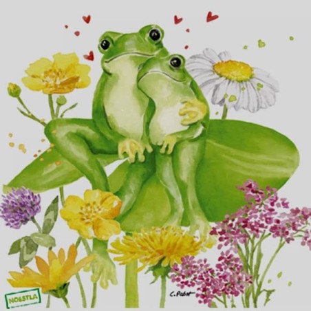 1serviette Grenouilles-12
