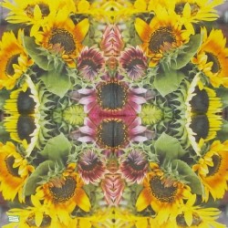 1 serviette Les Tournesols -35