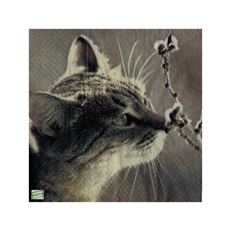 1serviette papier Chat-1