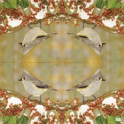 1serviette papier Moineau-33