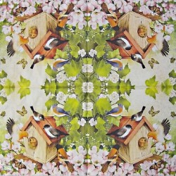 1serviette papier Oiseaux-51